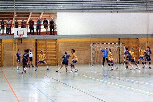 1.Frauen des VfB im Pokalspiel gegen Döbeln (19 : 29)