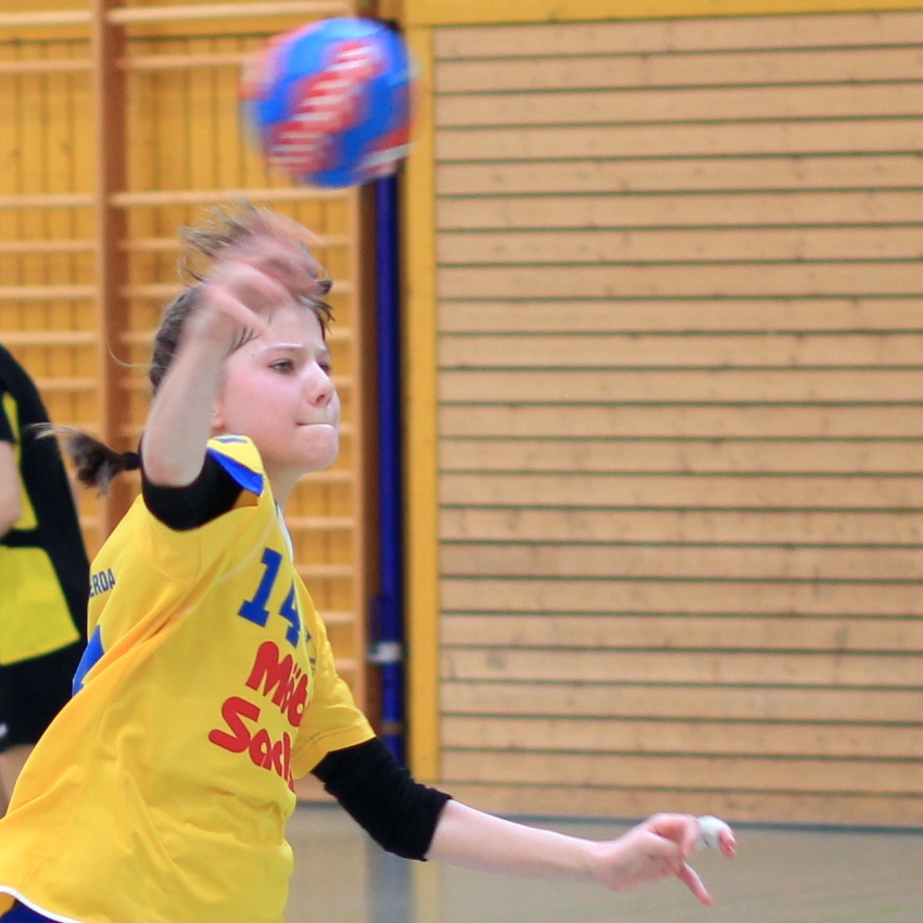 Handball-Ostsachsenmeisterschaften der D-Jugend weiblich