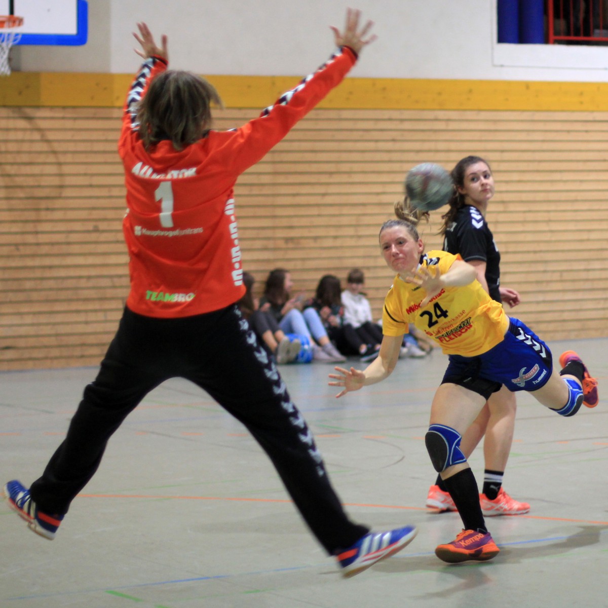 VfB 1999 Bischofswerda – SSV Heidenau    41:30 (16:18)