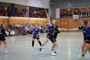 SLF_VfB gg Chemnitz