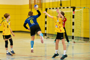 HC Rödertal vs. VfB Bischofswerda