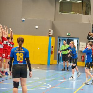 HC Novi Beograd - VfB wJD