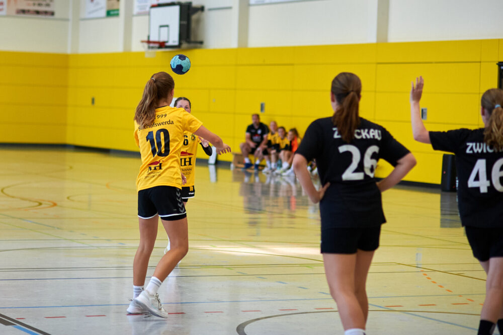 CJw - AIR Cup Großröhrsdorf 08.2023 VfB - BSV Sachsen Zwickau, 13:8