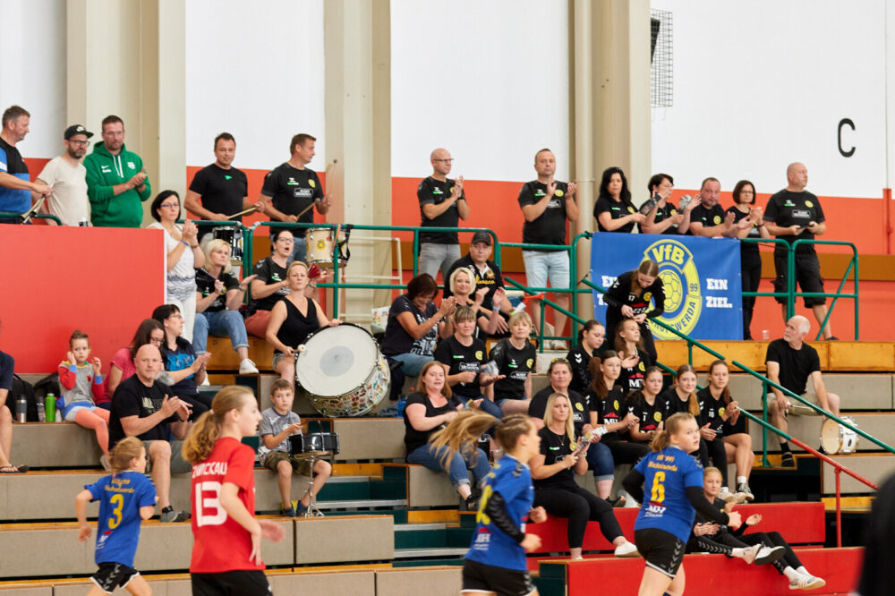 2. Spiel BSV Sa. Zwickau - VfB Bischofswerda 29:19 (15:10)