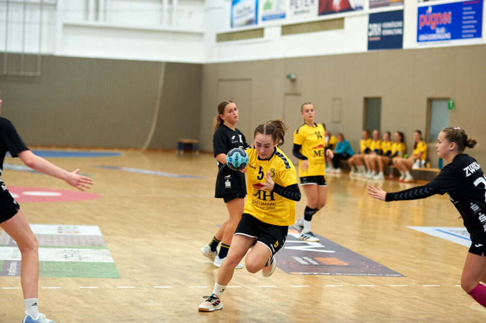 CJw BSV Sa. Zwickau - VfB, 20:32 (10:18)