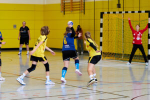 DJw HC Rödertal - VfB, 19:44 (9:24) Sachsenliga 2023/24