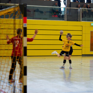 wJC HC Roedertal - VfB, 36:36 (17:16) Sachsenliga 2023/24