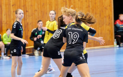 „Kein Spielbericht” zum unwürdigen Spiel in Chemnitz