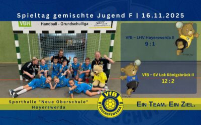 F-Jugend Spieltag am 16.11.2025 in Hoyerswerda