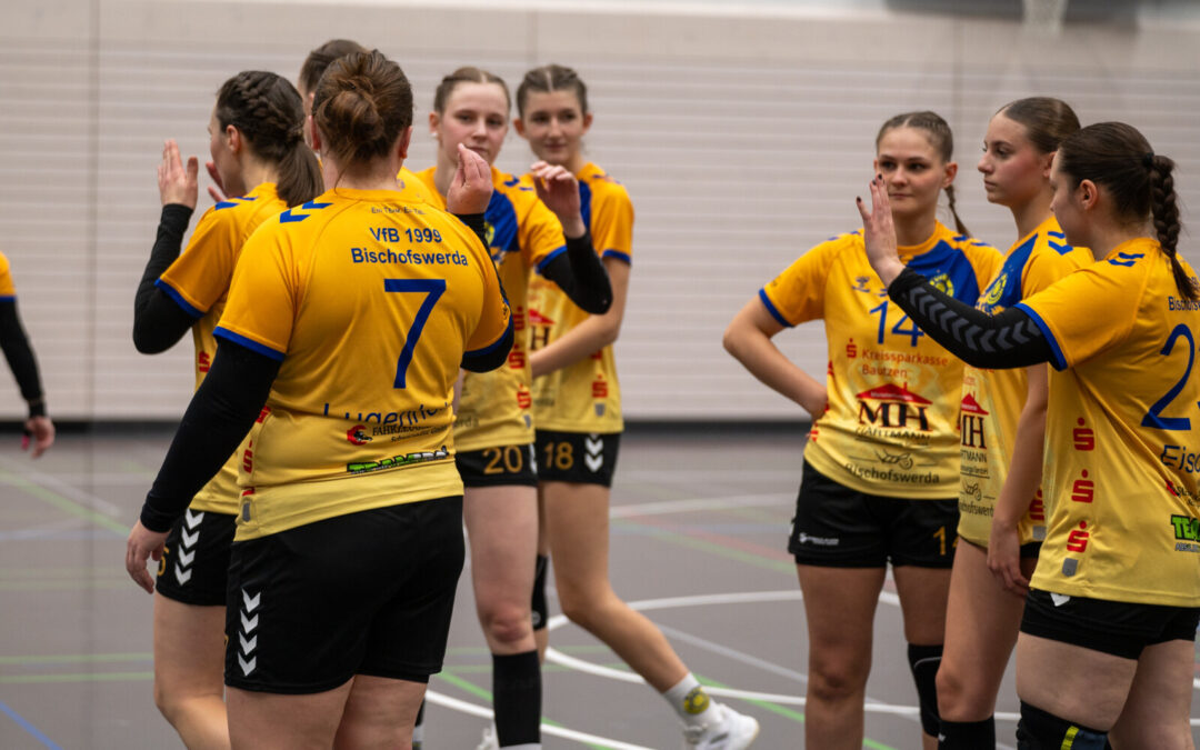 Leider keine Punkte in der heimischen Halle